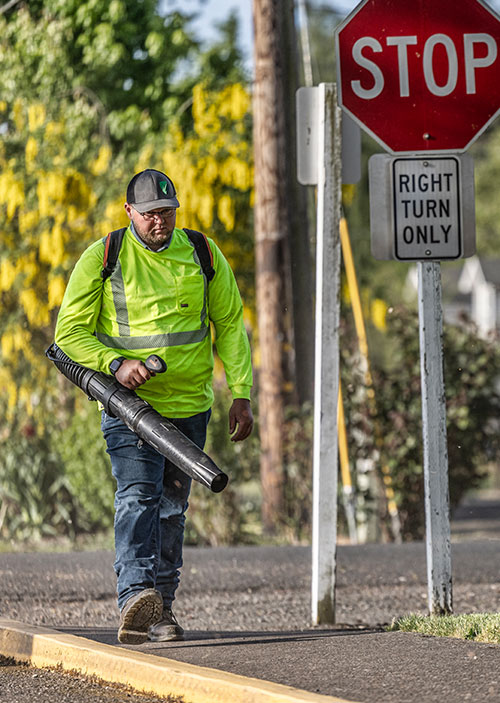 leafblowing